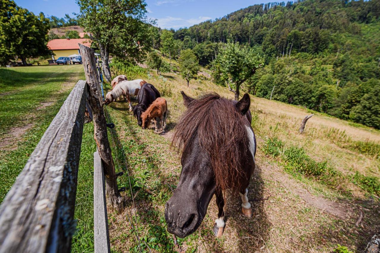 Eko Pony Ranch Ogrizek Apartment Podčetrtek Exterior foto
