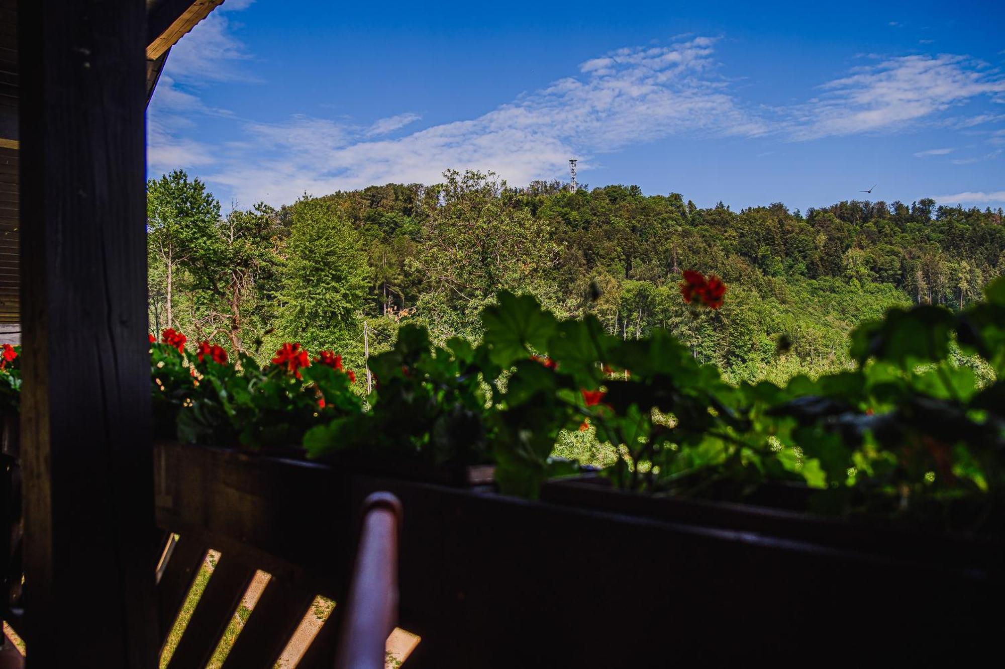 Eko Pony Ranch Ogrizek Apartment Podčetrtek Cameră foto