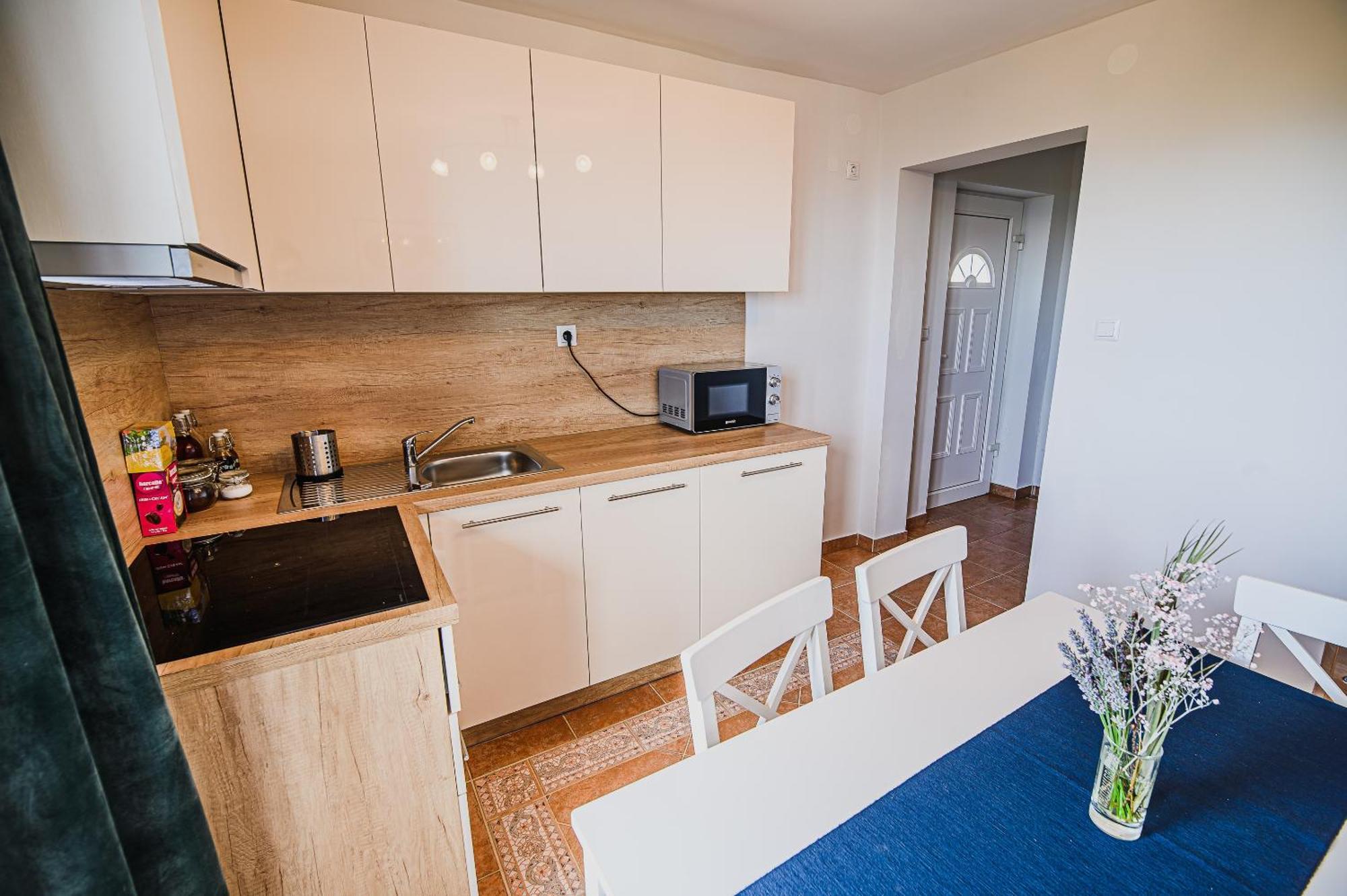 Eko Pony Ranch Ogrizek Apartment Podčetrtek Cameră foto