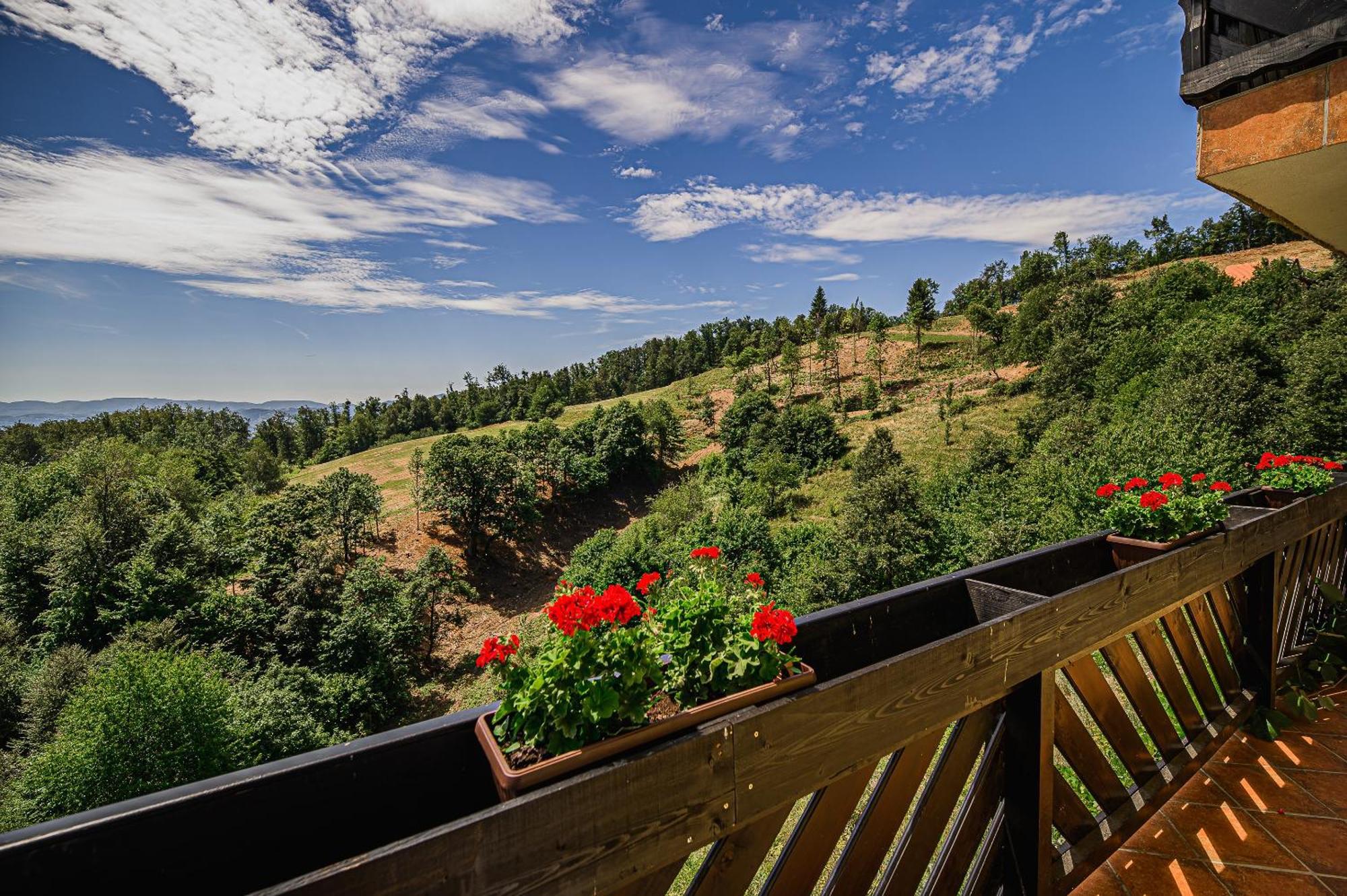 Eko Pony Ranch Ogrizek Apartment Podčetrtek Cameră foto